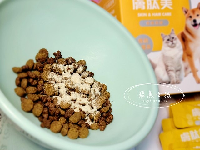 可蒂毛毛膚肽美3護型皮毛營養品,可蒂毛毛評價,膚肽美3護型皮毛營養品評價,寵物皮膚保養品開箱,毛孩皮毛保健品分享,毛孩皮膚保健好物開箱,貓咪皮膚保健心得,貓皮膚護理產品開箱,狗狗皮膚病吃什麼藥,狗止癢食品分享,貓狗皮膚保健品分享,膚肽美3護型皮毛營養品,可蒂毛毛推薦,可蒂毛毛ppt, 可蒂毛毛dacrd 可蒂毛毛膚肽美3護型皮毛營養品,可蒂毛毛評價,膚肽美3護型皮毛營養品評價,寵物皮膚保養品開箱,毛孩皮毛保健品分享,毛孩皮膚保健好物開箱,貓咪皮膚保健心得,貓皮膚護理產品開箱,狗狗皮膚病吃什麼藥,狗止癢食品分享,貓狗皮膚保健品分享,膚肽美3護型皮毛營養品,可蒂毛毛推薦,可蒂毛毛ppt, 可蒂毛毛dacrd