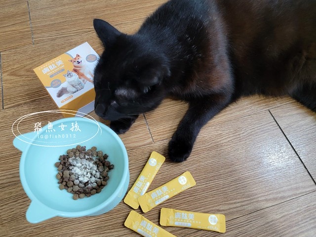 可蒂毛毛膚肽美3護型皮毛營養品,可蒂毛毛評價,膚肽美3護型皮毛營養品評價,寵物皮膚保養品開箱,毛孩皮毛保健品分享,毛孩皮膚保健好物開箱,貓咪皮膚保健心得,貓皮膚護理產品開箱,狗狗皮膚病吃什麼藥,狗止癢食品分享,貓狗皮膚保健品分享,膚肽美3護型皮毛營養品,可蒂毛毛推薦,可蒂毛毛ppt, 可蒂毛毛dacrd 可蒂毛毛膚肽美3護型皮毛營養品,可蒂毛毛評價,膚肽美3護型皮毛營養品評價,寵物皮膚保養品開箱,毛孩皮毛保健品分享,毛孩皮膚保健好物開箱,貓咪皮膚保健心得,貓皮膚護理產品開箱,狗狗皮膚病吃什麼藥,狗止癢食品分享,貓狗皮膚保健品分享,膚肽美3護型皮毛營養品,可蒂毛毛推薦,可蒂毛毛ppt, 可蒂毛毛dacrd