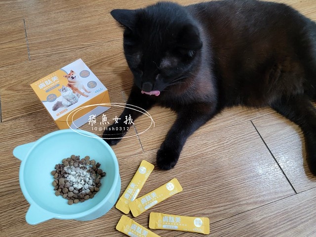 可蒂毛毛膚肽美3護型皮毛營養品,可蒂毛毛評價,膚肽美3護型皮毛營養品評價,寵物皮膚保養品開箱,毛孩皮毛保健品分享,毛孩皮膚保健好物開箱,貓咪皮膚保健心得,貓皮膚護理產品開箱,狗狗皮膚病吃什麼藥,狗止癢食品分享,貓狗皮膚保健品分享,膚肽美3護型皮毛營養品,可蒂毛毛推薦,可蒂毛毛ppt, 可蒂毛毛dacrd 可蒂毛毛膚肽美3護型皮毛營養品,可蒂毛毛評價,膚肽美3護型皮毛營養品評價,寵物皮膚保養品開箱,毛孩皮毛保健品分享,毛孩皮膚保健好物開箱,貓咪皮膚保健心得,貓皮膚護理產品開箱,狗狗皮膚病吃什麼藥,狗止癢食品分享,貓狗皮膚保健品分享,膚肽美3護型皮毛營養品,可蒂毛毛推薦,可蒂毛毛ppt,可蒂毛毛dacrd