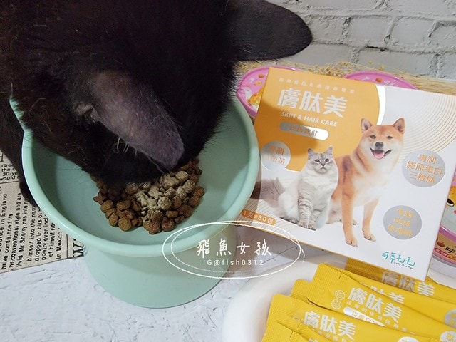 可蒂毛毛膚肽美3護型皮毛營養品,可蒂毛毛評價,膚肽美3護型皮毛營養品評價,寵物皮膚保養品開箱,毛孩皮毛保健品分享,毛孩皮膚保健好物開箱,貓咪皮膚保健心得,貓皮膚護理產品開箱,狗狗皮膚病吃什麼藥,狗止癢食品分享,貓狗皮膚保健品分享,膚肽美3護型皮毛營養品,可蒂毛毛推薦,可蒂毛毛ppt, 可蒂毛毛dacrd 可蒂毛毛膚肽美3護型皮毛營養品,可蒂毛毛評價,膚肽美3護型皮毛營養品評價,寵物皮膚保養品開箱,毛孩皮毛保健品分享,毛孩皮膚保健好物開箱,貓咪皮膚保健心得,貓皮膚護理產品開箱,狗狗皮膚病吃什麼藥,狗止癢食品分享,貓狗皮膚保健品分享,膚肽美3護型皮毛營養品,可蒂毛毛推薦,可蒂毛毛ppt, 可蒂毛毛dacrd