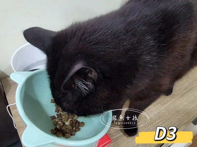 可蒂毛毛膚肽美3護型皮毛營養品,可蒂毛毛評價,膚肽美3護型皮毛營養品評價,寵物皮膚保養品開箱,毛孩皮毛保健品分享,毛孩皮膚保健好物開箱,貓咪皮膚保健心得,貓皮膚護理產品開箱,狗狗皮膚病吃什麼藥,狗止癢食品分享,貓狗皮膚保健品分享,膚肽美3護型皮毛營養品,可蒂毛毛推薦,可蒂毛毛ppt, 可蒂毛毛dacrd 可蒂毛毛膚肽美3護型皮毛營養品,可蒂毛毛評價,膚肽美3護型皮毛營養品評價,寵物皮膚保養品開箱,毛孩皮毛保健品分享,毛孩皮膚保健好物開箱,貓咪皮膚保健心得,貓皮膚護理產品開箱,狗狗皮膚病吃什麼藥,狗止癢食品分享,貓狗皮膚保健品分享,膚肽美3護型皮毛營養品,可蒂毛毛推薦,可蒂毛毛ppt, 可蒂毛毛dacrd