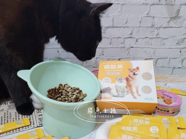 可蒂毛毛膚肽美3護型皮毛營養品,可蒂毛毛評價,膚肽美3護型皮毛營養品評價,寵物皮膚保養品開箱,毛孩皮毛保健品分享,毛孩皮膚保健好物開箱,貓咪皮膚保健心得,貓皮膚護理產品開箱,狗狗皮膚病吃什麼藥,狗止癢食品分享,貓狗皮膚保健品分享,膚肽美3護型皮毛營養品,可蒂毛毛推薦,可蒂毛毛ppt, 可蒂毛毛dacrd 可蒂毛毛膚肽美3護型皮毛營養品,可蒂毛毛評價,膚肽美3護型皮毛營養品評價,寵物皮膚保養品開箱,毛孩皮毛保健品分享,毛孩皮膚保健好物開箱,貓咪皮膚保健心得,貓皮膚護理產品開箱,狗狗皮膚病吃什麼藥,狗止癢食品分享,貓狗皮膚保健品分享,膚肽美3護型皮毛營養品,可蒂毛毛推薦,可蒂毛毛ppt, 可蒂毛毛dacrd