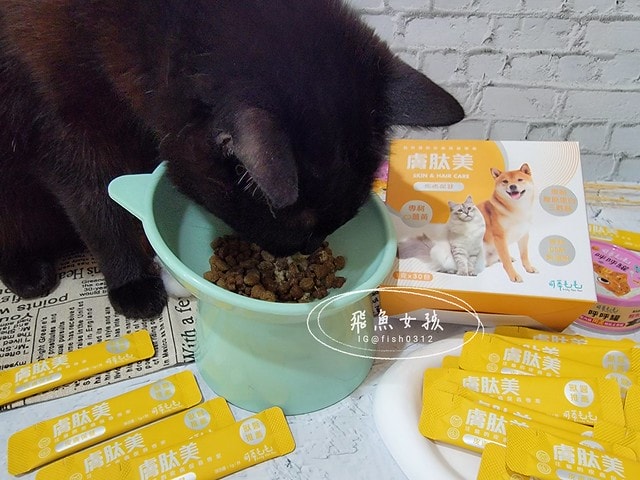 可蒂毛毛膚肽美3護型皮毛營養品,可蒂毛毛評價,膚肽美3護型皮毛營養品評價,寵物皮膚保養品開箱,毛孩皮毛保健品分享,毛孩皮膚保健好物開箱,貓咪皮膚保健心得,貓皮膚護理產品開箱,狗狗皮膚病吃什麼藥,狗止癢食品分享,貓狗皮膚保健品分享,膚肽美3護型皮毛營養品,可蒂毛毛推薦,可蒂毛毛ppt, 可蒂毛毛dacrd 可蒂毛毛膚肽美3護型皮毛營養品,可蒂毛毛評價,膚肽美3護型皮毛營養品評價,寵物皮膚保養品開箱,毛孩皮毛保健品分享,毛孩皮膚保健好物開箱,貓咪皮膚保健心得,貓皮膚護理產品開箱,狗狗皮膚病吃什麼藥,狗止癢食品分享,貓狗皮膚保健品分享,膚肽美3護型皮毛營養品,可蒂毛毛推薦,可蒂毛毛ppt, 可蒂毛毛dacrd