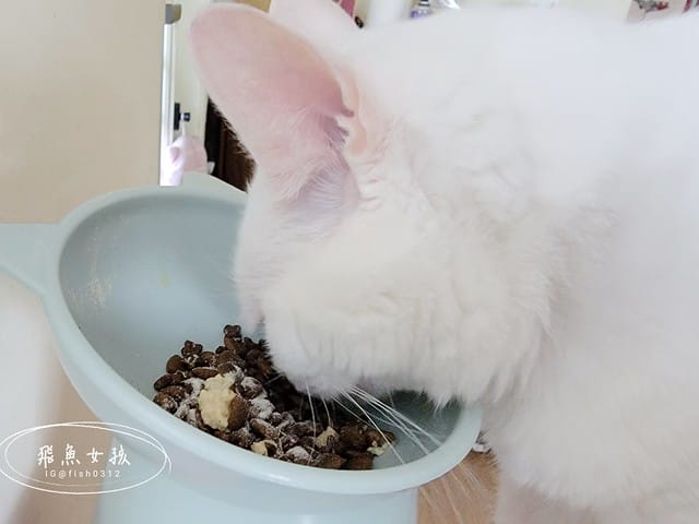 骨關心,一個品項兩個功效,關節和心血管一次搞定,骨關節和心血管保健,寵物骨頭,寵物關節,寵物心臟,寵物血管,紐西蘭綠貽貝,美國專利蛋殼膜,美國專利UC2,Q10