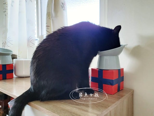 骨關心,一個品項兩個功效,關節和心血管一次搞定,骨關節和心血管保健,寵物骨頭,寵物關節,寵物心臟,寵物血管,紐西蘭綠貽貝,美國專利蛋殼膜,美國專利UC2,Q10