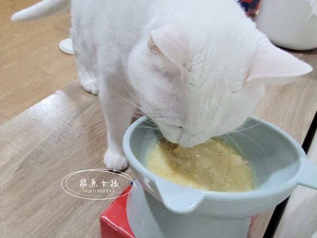 骨關心,一個品項兩個功效,關節和心血管一次搞定,骨關節和心血管保健,寵物骨頭,寵物關節,寵物心臟,寵物血管,紐西蘭綠貽貝,美國專利蛋殼膜,美國專利UC2,Q10