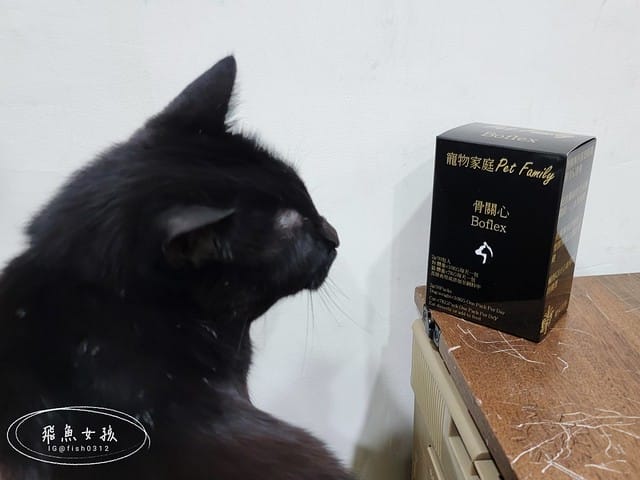 骨關心,一個品項兩個功效,關節和心血管一次搞定,骨關節和心血管保健,寵物骨頭,寵物關節,寵物心臟,寵物血管,紐西蘭綠貽貝,美國專利蛋殼膜,美國專利UC2,Q10