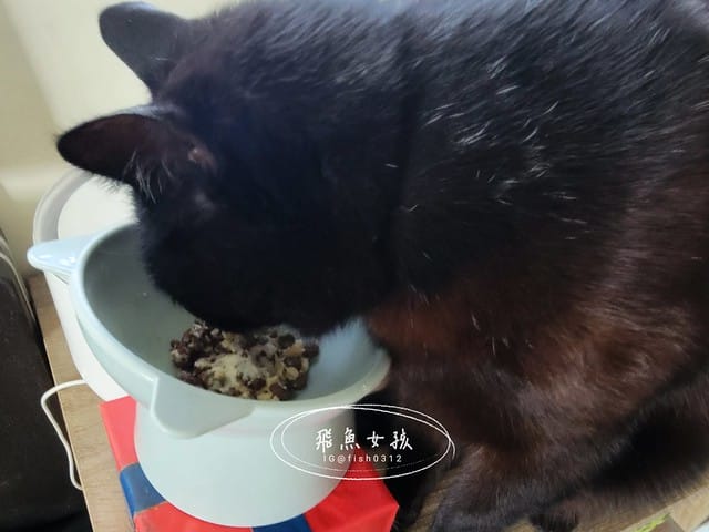 骨關心,一個品項兩個功效,關節和心血管一次搞定,骨關節和心血管保健,寵物骨頭,寵物關節,寵物心臟,寵物血管,紐西蘭綠貽貝,美國專利蛋殼膜,美國專利UC2,Q10