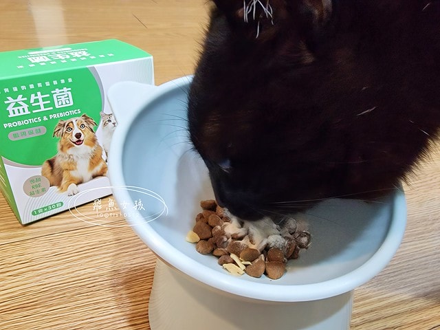 可蒂毛毛評價,益生菌3護型腸胃營養品評價,貓狗適口性好益生菌開箱,犬貓腸胃保健品分享,寵物益生菌品牌分享,貓狗消化保健心得,毛孩消化改善好物推薦,貓狗營養益生菌開箱,毛孩腸胃保健必買,寵物益生菌怎麼挑,寵物益生菌試用心得,好評寵物粉狀益生菌,貓咪益生菌,貓咪益生菌推薦,貓咪益生菌推薦ptt,狗狗益生菌推薦ptt,寵物益生菌推薦,寵物益生菌推薦ptt,貓咪益生菌dcard,人吃的益生菌貓可以吃嗎,貓咪大便很臭
