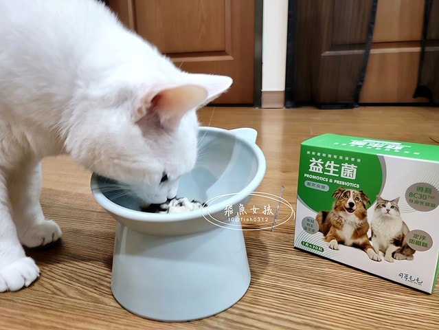 可蒂毛毛評價,益生菌3護型腸胃營養品評價,貓狗適口性好益生菌開箱,犬貓腸胃保健品分享,寵物益生菌品牌分享,貓狗消化保健心得,毛孩消化改善好物推薦,貓狗營養益生菌開箱,毛孩腸胃保健必買,寵物益生菌怎麼挑,寵物益生菌試用心得,好評寵物粉狀益生菌,貓咪益生菌,貓咪益生菌推薦,貓咪益生菌推薦ptt,狗狗益生菌推薦ptt,寵物益生菌推薦,寵物益生菌推薦ptt,貓咪益生菌dcard,人吃的益生菌貓可以吃嗎,貓咪大便很臭