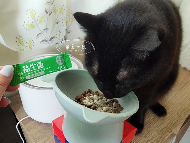 可蒂毛毛評價,益生菌3護型腸胃營養品評價,貓狗適口性好益生菌開箱,犬貓腸胃保健品分享,寵物益生菌品牌分享,貓狗消化保健心得,毛孩消化改善好物推薦,貓狗營養益生菌開箱,毛孩腸胃保健必買,寵物益生菌怎麼挑,寵物益生菌試用心得,好評寵物粉狀益生菌,貓咪益生菌,貓咪益生菌推薦,貓咪益生菌推薦ptt,狗狗益生菌推薦ptt,寵物益生菌推薦,寵物益生菌推薦ptt,貓咪益生菌dcard,人吃的益生菌貓可以吃嗎,貓咪大便很臭