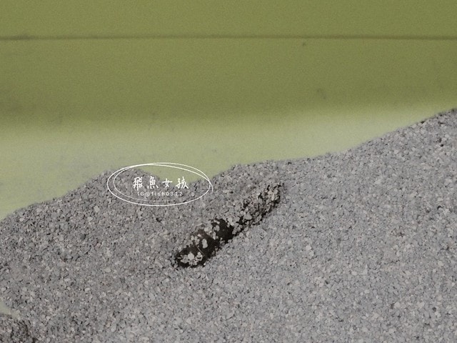 MEITU_20240712_132022162