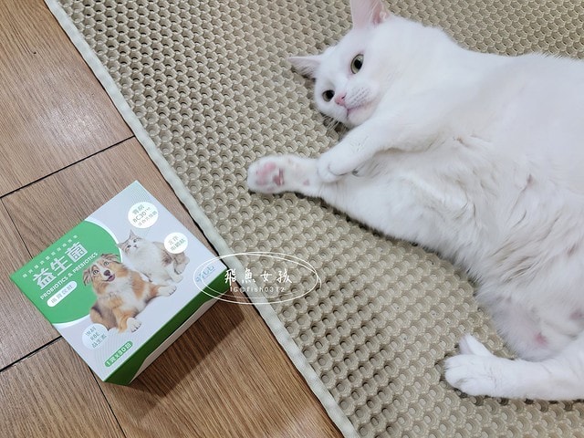 可蒂毛毛評價,益生菌3護型腸胃營養品評價,貓狗適口性好益生菌開箱,犬貓腸胃保健品分享,寵物益生菌品牌分享,貓狗消化保健心得,毛孩消化改善好物推薦,貓狗營養益生菌開箱,毛孩腸胃保健必買,寵物益生菌怎麼挑,寵物益生菌試用心得,好評寵物粉狀益生菌,貓咪益生菌,貓咪益生菌推薦,貓咪益生菌推薦ptt,狗狗益生菌推薦ptt,寵物益生菌推薦,寵物益生菌推薦ptt,貓咪益生菌dcard,人吃的益生菌貓可以吃嗎,貓咪大便很臭