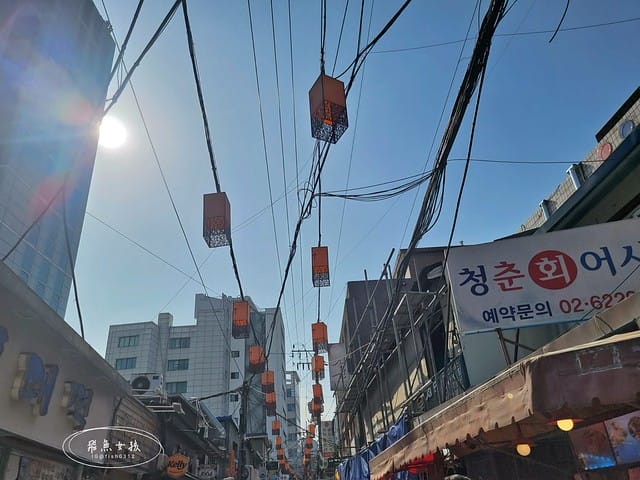 跟著飛魚玩首爾,飛魚女孩,韓國自由行,首爾自由行,首爾自由行5天4夜,世宗飲食文化街,世宗飲食文化街美食,景福宮美食,景福宮美食推薦,首爾西村,首爾西大門,防彈少年團RM,防彈少年團首爾宣傳片,世宗村飲食文化街,景福宮景點,景福宮一日遊,景福宮北村韓屋村距離,景福宮光化門,光化門廣場,首爾西村美食,土俗村蔘雞湯2024低消,土俗村蔘雞湯低消,土俗村蔘雞湯有低消