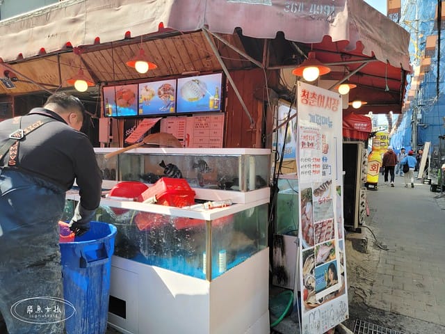 跟著飛魚玩首爾,飛魚女孩,韓國自由行,首爾自由行,首爾自由行5天4夜,世宗飲食文化街,世宗飲食文化街美食,景福宮美食,景福宮美食推薦,首爾西村,首爾西大門,防彈少年團RM,防彈少年團首爾宣傳片,世宗村飲食文化街,景福宮景點,景福宮一日遊,景福宮北村韓屋村距離,景福宮光化門,光化門廣場,首爾西村美食,土俗村蔘雞湯2024低消,土俗村蔘雞湯低消,土俗村蔘雞湯有低消