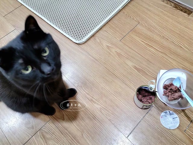 Petzoo貓罐評價,克勞德博士貓罐評價,無穀貓咪主食罐推薦,挑嘴貓主食罐推薦,貓咪轉濕食推薦,無榖貓罐頭開箱,貓主食罐開箱,轉濕食貓罐開箱,無穀貓濕食分享,鮮肉湯貓罐分享,機能貓罐食用心得,克勞德博士主食罐ptt,克勞德博士dcard,平價貓罐頭推薦dcard,平價主食罐dcard,克勞德博士評價,克勞德博士餐包,克勞德博士餐包ptt,飛魚女孩,Petzoo,聯信寵物推薦,法米納天然寵物食品公司 聯信寵物,德國dr-clauder克勞德博士,德罐dcard,德罐好嗎,德罐是什麼,德罐推薦ptt,德罐貓,德罐ppt,