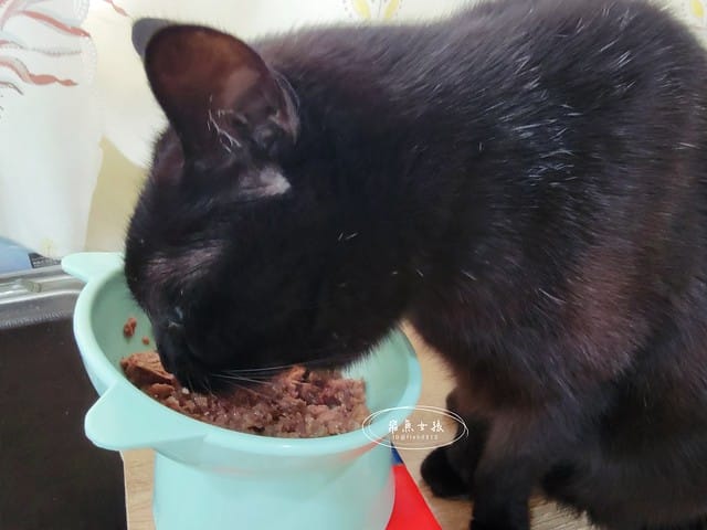 Petzoo貓罐評價,克勞德博士貓罐評價,無穀貓咪主食罐推薦,挑嘴貓主食罐推薦,貓咪轉濕食推薦,無榖貓罐頭開箱,貓主食罐開箱,轉濕食貓罐開箱,無穀貓濕食分享,鮮肉湯貓罐分享,機能貓罐食用心得,克勞德博士主食罐ptt,克勞德博士dcard,平價貓罐頭推薦dcard,平價主食罐dcard,克勞德博士評價,克勞德博士餐包,克勞德博士餐包ptt,飛魚女孩,Petzoo,聯信寵物推薦,法米納天然寵物食品公司 聯信寵物,德國dr-clauder克勞德博士,德罐dcard,德罐好嗎,德罐是什麼,德罐推薦ptt,德罐貓,德罐ppt,