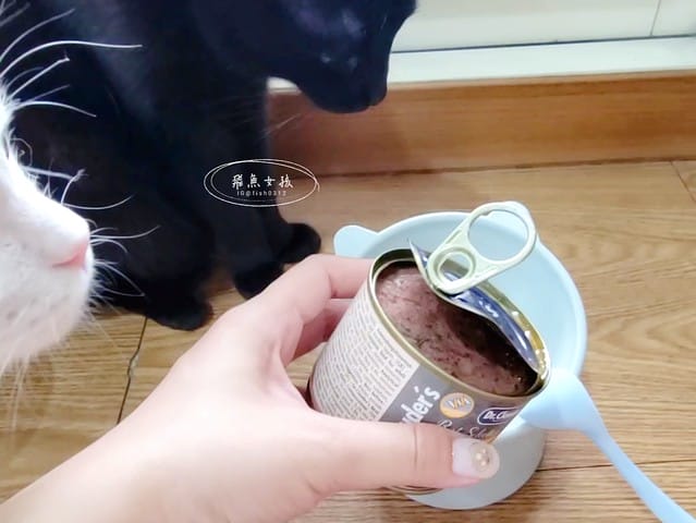 Petzoo貓罐評價,克勞德博士貓罐評價,無穀貓咪主食罐推薦,挑嘴貓主食罐推薦,貓咪轉濕食推薦,無榖貓罐頭開箱,貓主食罐開箱,轉濕食貓罐開箱,無穀貓濕食分享,鮮肉湯貓罐分享,機能貓罐食用心得,克勞德博士主食罐ptt,克勞德博士dcard,平價貓罐頭推薦dcard,平價主食罐dcard,克勞德博士評價,克勞德博士餐包,克勞德博士餐包ptt,飛魚女孩,Petzoo,聯信寵物推薦,法米納天然寵物食品公司 聯信寵物,德國dr-clauder克勞德博士,德罐dcard,德罐好嗎,德罐是什麼,德罐推薦ptt,德罐貓,德罐ppt,