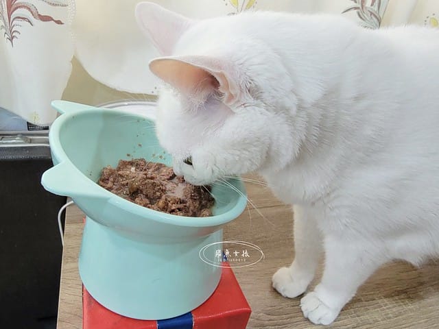 Petzoo貓罐評價,克勞德博士貓罐評價,無穀貓咪主食罐推薦,挑嘴貓主食罐推薦,貓咪轉濕食推薦,無榖貓罐頭開箱,貓主食罐開箱,轉濕食貓罐開箱,無穀貓濕食分享,鮮肉湯貓罐分享,機能貓罐食用心得,克勞德博士主食罐ptt,克勞德博士dcard,平價貓罐頭推薦dcard,平價主食罐dcard,克勞德博士評價,克勞德博士餐包,克勞德博士餐包ptt,飛魚女孩,Petzoo,聯信寵物推薦,法米納天然寵物食品公司 聯信寵物,德國dr-clauder克勞德博士,德罐dcard,德罐好嗎,德罐是什麼,德罐推薦ptt,德罐貓,德罐ppt,