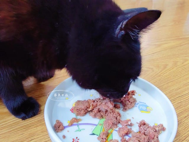 Petzoo貓罐評價,克勞德博士貓罐評價,無穀貓咪主食罐推薦,挑嘴貓主食罐推薦,貓咪轉濕食推薦,無榖貓罐頭開箱,貓主食罐開箱,轉濕食貓罐開箱,無穀貓濕食分享,鮮肉湯貓罐分享,機能貓罐食用心得,克勞德博士主食罐ptt,克勞德博士dcard,平價貓罐頭推薦dcard,平價主食罐dcard,克勞德博士評價,克勞德博士餐包,克勞德博士餐包ptt,飛魚女孩,Petzoo,聯信寵物推薦,法米納天然寵物食品公司 聯信寵物,德國dr-clauder克勞德博士,德罐dcard,德罐好嗎,德罐是什麼,德罐推薦ptt,德罐貓,德罐ppt,