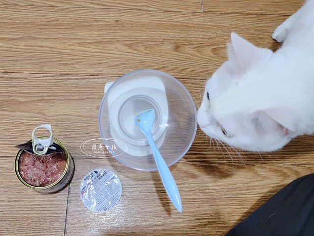 Petzoo貓罐評價,克勞德博士貓罐評價,無穀貓咪主食罐推薦,挑嘴貓主食罐推薦,貓咪轉濕食推薦,無榖貓罐頭開箱,貓主食罐開箱,轉濕食貓罐開箱,無穀貓濕食分享,鮮肉湯貓罐分享,機能貓罐食用心得,克勞德博士主食罐ptt,克勞德博士dcard,平價貓罐頭推薦dcard,平價主食罐dcard,克勞德博士評價,克勞德博士餐包,克勞德博士餐包ptt,飛魚女孩,Petzoo,聯信寵物推薦,法米納天然寵物食品公司 聯信寵物,德國dr-clauder克勞德博士,德罐dcard,德罐好嗎,德罐是什麼,德罐推薦ptt,德罐貓,德罐ppt,