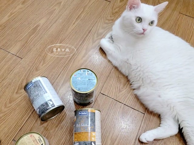 Petzoo貓罐評價,克勞德博士貓罐評價,無穀貓咪主食罐推薦,挑嘴貓主食罐推薦,貓咪轉濕食推薦,無榖貓罐頭開箱,貓主食罐開箱,轉濕食貓罐開箱,無穀貓濕食分享,鮮肉湯貓罐分享,機能貓罐食用心得,克勞德博士主食罐ptt,克勞德博士dcard,平價貓罐頭推薦dcard,平價主食罐dcard,克勞德博士評價,克勞德博士餐包,克勞德博士餐包ptt,飛魚女孩,Petzoo,聯信寵物推薦,法米納天然寵物食品公司 聯信寵物,德國dr-clauder克勞德博士,德罐dcard,德罐好嗎,德罐是什麼,德罐推薦ptt,德罐貓,德罐ppt,