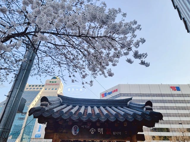 飛魚女孩,跟著飛魚玩首爾,首爾自由行,韓國自由行,首爾散策,首爾散步,塔谷公園,鐘路三街,鐘路3街,鐘路五街,鐘閣站,韓國三一運動,三一運動路,三一獨立運動,韓國獨立運動,韓國獨立的歷史,明洞景點,首爾景點,鐘路景點,탑골공원,首爾塔谷公園,首爾古蹟,首爾市區古蹟,首爾市區景點,鐘路古蹟,韓國歷史獨立