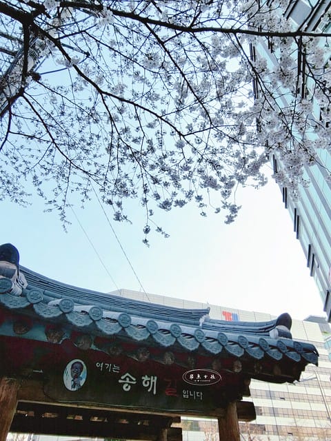 飛魚女孩,跟著飛魚玩首爾,首爾自由行,韓國自由行,首爾散策,首爾散步,塔谷公園,鐘路三街,鐘路3街,鐘路五街,鐘閣站,韓國三一運動,三一運動路,三一獨立運動,韓國獨立運動,韓國獨立的歷史,明洞景點,首爾景點,鐘路景點,탑골공원,首爾塔谷公園,首爾古蹟,首爾市區古蹟,首爾市區景點,鐘路古蹟,韓國歷史獨立