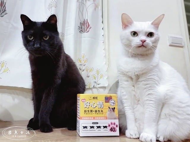 威旺WeWant,威旺WeWant貓用好心情益生菌評價,貓咪保健品牌分享,貓咪益生菌開箱,助消化貓咪保健分享,適口性好貓益生菌推薦,貓咪心情不好怎麼辦,貓益生菌保健品分享,貓咪產品心得,飛魚女孩,跟著飛魚購物去,貓咪益生菌推薦,貓咪益生菌推薦ptt,貓咪益生菌推薦dcard,貓咪拉肚子益生菌dcard,貓咪便秘益生菌,貓益生菌多久吃一次,