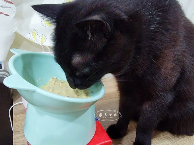 威旺WeWant,威旺WeWant貓用好心情益生菌評價,貓咪保健品牌分享,貓咪益生菌開箱,助消化貓咪保健分享,適口性好貓益生菌推薦,貓咪心情不好怎麼辦,貓益生菌保健品分享,貓咪產品心得,飛魚女孩,跟著飛魚購物去,貓咪益生菌推薦,貓咪益生菌推薦ptt,貓咪益生菌推薦dcard,貓咪拉肚子益生菌dcard,貓咪便秘益生菌,貓益生菌多久吃一次,