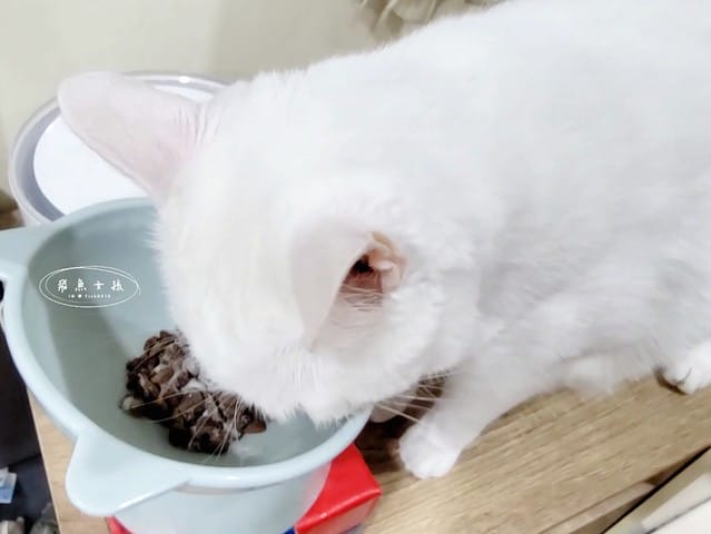 MEITU_20240810_210448306