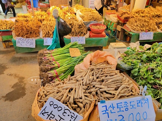 跟著飛魚玩首爾,首爾景點,京東市場,京東市場星巴克,京東市場美食,京東1960店,星巴克京東市場,首爾旅遊推薦,京東1960咖啡,京東1960店評價,星巴克京東1960,首爾京東市場美食,首爾人蔘市場,星巴克京東1960店,祭基洞京東市場,祭基洞,스타벅스경동1960점,京東市場交通,清涼里美食,清涼里市場,首爾景點dcard,韓國首爾秘境dcard,一個人去韓國dcard,首爾市場推薦,韓國市場必買ppt,京東市場美食推薦,京東市場地下食堂