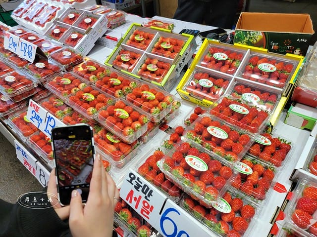 跟著飛魚玩首爾,首爾景點,京東市場,京東市場星巴克,京東市場美食,京東1960店,星巴克京東市場,首爾旅遊推薦,京東1960咖啡,京東1960店評價,星巴克京東1960,首爾京東市場美食,首爾人蔘市場,星巴克京東1960店,祭基洞京東市場,祭基洞,스타벅스경동1960점,京東市場交通,清涼里美食,清涼里市場,首爾景點dcard,韓國首爾秘境dcard,一個人去韓國dcard,首爾市場推薦,韓國市場必買ppt,京東市場美食推薦,京東市場地下食堂