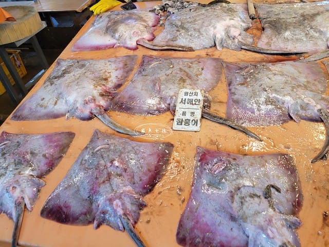 Netflix黑白大廚,阿姨無菜單料理一號,姨母無菜單安東家,姨母無菜單,,阿姨無菜單料理餐廳,跟著飛魚玩首爾,首爾景點,京東市場,京東市場星巴克,京東市場美食,京東1960店,星巴克京東市場,首爾旅遊推薦,京東1960咖啡,京東1960店評價,星巴克京東1960,首爾京東市場美食,首爾人蔘市場,星巴克京東1960店,祭基洞京東市場,祭基洞,스타벅스경동1960점,京東市場交通,清涼里美食,清涼里市場,首爾景點dcard,韓國首爾秘境dcard,一個人去韓國dcard,首爾市場推薦,韓國市場必買ppt,京東市場美食推薦,京東市場地下食堂