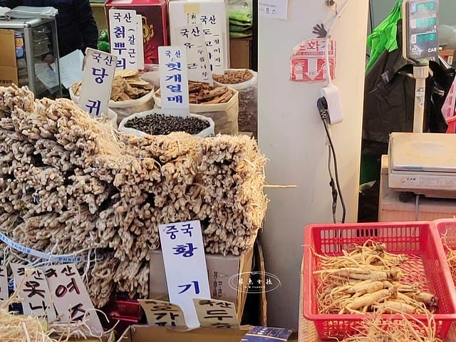 跟著飛魚玩首爾,首爾景點,京東市場,京東市場星巴克,京東市場美食,京東1960店,星巴克京東市場,首爾旅遊推薦,京東1960咖啡,京東1960店評價,星巴克京東1960,首爾京東市場美食,首爾人蔘市場,星巴克京東1960店,祭基洞京東市場,祭基洞,스타벅스경동1960점,京東市場交通,清涼里美食,清涼里市場,首爾景點dcard,韓國首爾秘境dcard,一個人去韓國dcard,首爾市場推薦,韓國市場必買ppt,京東市場美食推薦,京東市場地下食堂