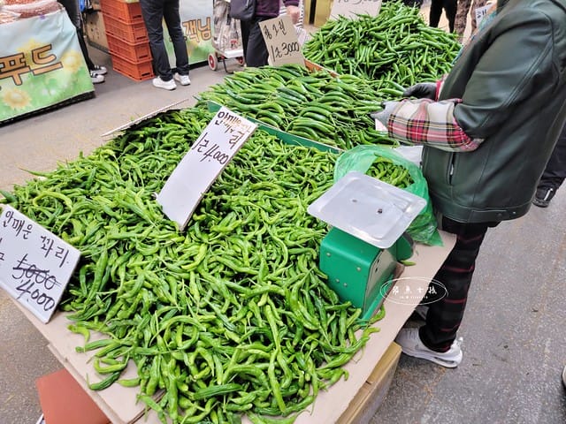 跟著飛魚玩首爾,首爾景點,京東市場,京東市場星巴克,京東市場美食,京東1960店,星巴克京東市場,首爾旅遊推薦,京東1960咖啡,京東1960店評價,星巴克京東1960,首爾京東市場美食,首爾人蔘市場,星巴克京東1960店,祭基洞京東市場,祭基洞,스타벅스경동1960점,京東市場交通,清涼里美食,清涼里市場,首爾景點dcard,韓國首爾秘境dcard,一個人去韓國dcard,首爾市場推薦,韓國市場必買ppt,京東市場美食推薦,京東市場地下食堂