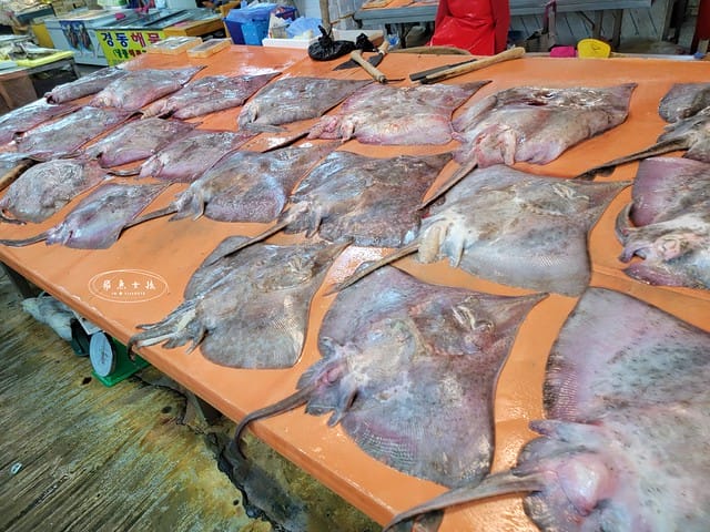 跟著飛魚玩首爾,首爾景點,京東市場,京東市場星巴克,京東市場美食,京東1960店,星巴克京東市場,首爾旅遊推薦,京東1960咖啡,京東1960店評價,星巴克京東1960,首爾京東市場美食,首爾人蔘市場,星巴克京東1960店,祭基洞京東市場,祭基洞,스타벅스경동1960점,京東市場交通,清涼里美食,清涼里市場,首爾景點dcard,韓國首爾秘境dcard,一個人去韓國dcard,首爾市場推薦,韓國市場必買ppt,京東市場美食推薦,京東市場地下食堂