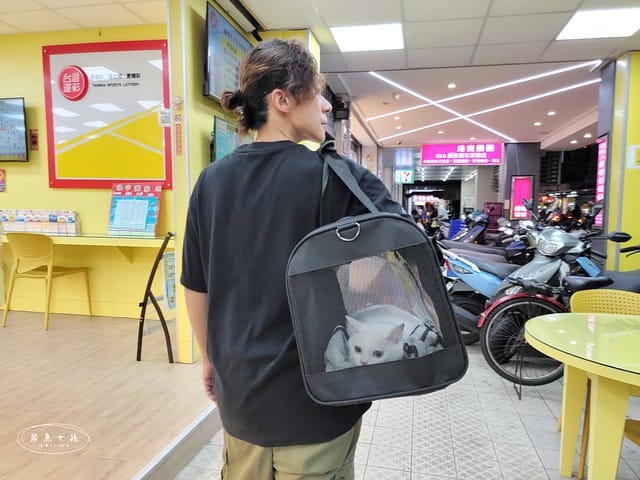 SUISA評價,SUISA寵物醫藥箱評價,SUISA寵物醫藥箱好用嗎,寵物需要醫藥箱嗎,毛孩專屬急救箱推薦,毛孩必備醫藥箱推薦,寵物居家醫藥箱分享,寵物外出醫藥箱分享,輕便寵物醫藥箱推薦,寵物受傷急救分享,寵物傷口照護分享,質感寵物醫藥箱分享,SUISA蘇依沙,寵物醫藥箱是什麼,寵物醫藥箱哪裡買ptt,寵物急救箱,寵物急救箱哪裡買ptt,貓咪必備用品,貓咪用品推薦dcard,養貓注意事項dcard,貓咪斷甲,貓咪指甲斷掉dcard,貓咪斷指甲,貓咪指甲流血dcard,貓咪指甲斷掉會自己好嗎,貓咪指甲斷掉流血