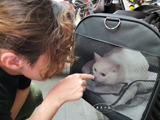 SUISA評價,SUISA寵物醫藥箱評價,SUISA寵物醫藥箱好用嗎,寵物需要醫藥箱嗎,毛孩專屬急救箱推薦,毛孩必備醫藥箱推薦,寵物居家醫藥箱分享,寵物外出醫藥箱分享,輕便寵物醫藥箱推薦,寵物受傷急救分享,寵物傷口照護分享,質感寵物醫藥箱分享,SUISA蘇依沙,寵物醫藥箱是什麼,寵物醫藥箱哪裡買ptt,寵物急救箱,寵物急救箱哪裡買ptt,貓咪必備用品,貓咪用品推薦dcard,養貓注意事項dcard,貓咪斷甲,貓咪指甲斷掉dcard,貓咪斷指甲,貓咪指甲流血dcard,貓咪指甲斷掉會自己好嗎,貓咪指甲斷掉流血