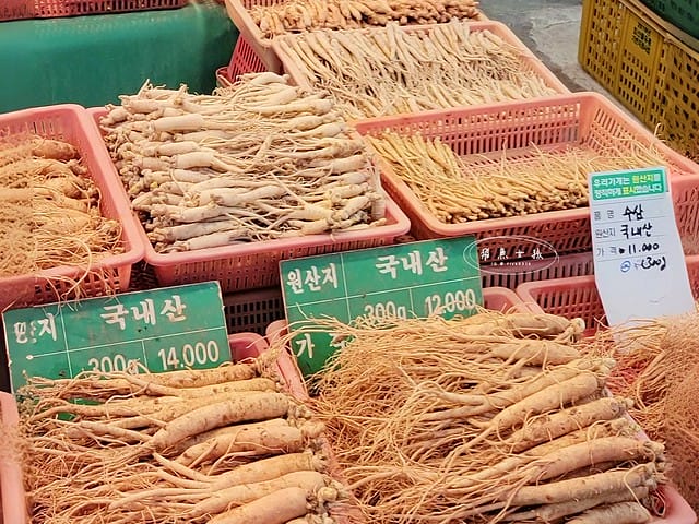 跟著飛魚玩首爾,首爾景點,京東市場,京東市場星巴克,京東市場美食,京東1960店,星巴克京東市場,首爾旅遊推薦,京東1960咖啡,京東1960店評價,星巴克京東1960,首爾京東市場美食,首爾人蔘市場,星巴克京東1960店,祭基洞京東市場,祭基洞,스타벅스경동1960점,京東市場交通,清涼里美食,清涼里市場,首爾景點dcard,韓國首爾秘境dcard,一個人去韓國dcard,首爾市場推薦,韓國市場必買ppt