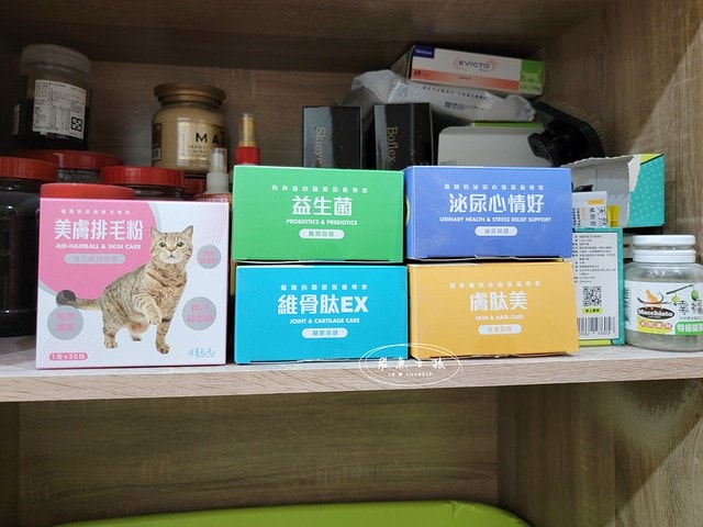 可蒂毛毛評價,美膚排毛粉3護型排毛營養品評價,貓咪排毛粉推薦,貓咪化毛粉開箱,貓咪益生菌心得,貓化毛好物推薦,排毛皮膚保健品開箱,貓皮毛保健品分享,貓咪排毛營養品開箱,貓咪保健品牌分享,排毛粉怎麼吃,貓咪排毛粉dcard,貓咪排毛粉ptt,貓咪 一定要 吃排毛粉 嗎 Dcard,貓咪化毛粉推薦,排毛粉推薦dcard,排毛粉推薦ptt,化毛膏推薦ptt,可蒂毛毛好嗎,可蒂毛毛推薦, 可蒂毛毛美膚排毛粉3護型排毛營養品