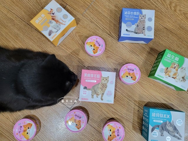 可蒂毛毛評價,美膚排毛粉3護型排毛營養品評價,貓咪排毛粉推薦,貓咪化毛粉開箱,貓咪益生菌心得,貓化毛好物推薦,排毛皮膚保健品開箱,貓皮毛保健品分享,貓咪排毛營養品開箱,貓咪保健品牌分享,排毛粉怎麼吃,貓咪排毛粉dcard,貓咪排毛粉ptt,貓咪 一定要 吃排毛粉 嗎 Dcard,貓咪化毛粉推薦,排毛粉推薦dcard,排毛粉推薦ptt,化毛膏推薦ptt,可蒂毛毛好嗎,可蒂毛毛推薦, 可蒂毛毛美膚排毛粉3護型排毛營養品