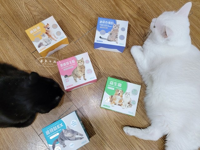 可蒂毛毛評價,美膚排毛粉3護型排毛營養品評價,貓咪排毛粉推薦,貓咪化毛粉開箱,貓咪益生菌心得,貓化毛好物推薦,排毛皮膚保健品開箱,貓皮毛保健品分享,貓咪排毛營養品開箱,貓咪保健品牌分享,排毛粉怎麼吃,貓咪排毛粉dcard,貓咪排毛粉ptt,貓咪 一定要 吃排毛粉 嗎 Dcard,貓咪化毛粉推薦,排毛粉推薦dcard,排毛粉推薦ptt,化毛膏推薦ptt,可蒂毛毛好嗎,可蒂毛毛推薦, 可蒂毛毛美膚排毛粉3護型排毛營養品