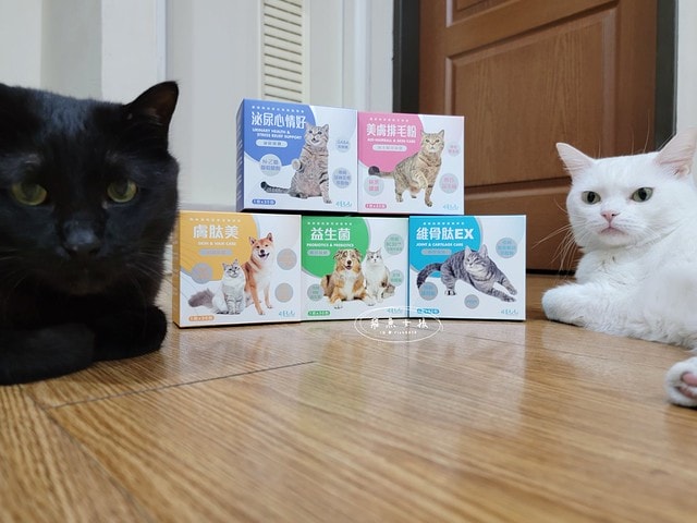 可蒂毛毛評價,美膚排毛粉3護型排毛營養品評價,貓咪排毛粉推薦,貓咪化毛粉開箱,貓咪益生菌心得,貓化毛好物推薦,排毛皮膚保健品開箱,貓皮毛保健品分享,貓咪排毛營養品開箱,貓咪保健品牌分享,排毛粉怎麼吃,貓咪排毛粉dcard,貓咪排毛粉ptt,貓咪 一定要 吃排毛粉 嗎 Dcard,貓咪化毛粉推薦,排毛粉推薦dcard,排毛粉推薦ptt,化毛膏推薦ptt,可蒂毛毛好嗎,可蒂毛毛推薦, 可蒂毛毛美膚排毛粉3護型排毛營養品