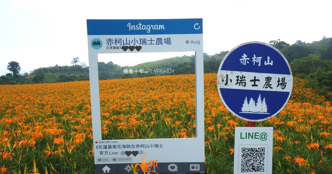 花蓮景點,花蓮玉里,花蓮金針山,花蓮金針花季(與一億朵金針花海相遇在花蓮赤科山‧六十石山),玉里景點,玉里金針花,玉里赤柯山,赤柯山,玉里推薦美食,玉里景點推薦,玉里金針石龜,赤柯山步道,赤柯山石龜,飛魚女孩,玉里金針花況回報,赤柯山六十石山比較,赤柯山六十石山ptt,赤柯山2024,赤柯山一日遊,赤柯山交通管制2024,赤柯山景點,赤柯山在哪裡,赤柯山住宿,赤柯山交通管制,赤科山即時影像,赤科山路況,赤科山2024