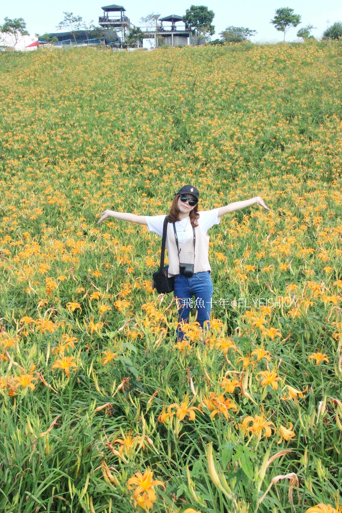 花蓮景點,金針花季,富里景點,玉里景點,花蓮金針花,花東縱谷景點,花東縱谷國家風景區,花東公路景點,台灣小瑞士,富里金針山,60石山,花蓮富里美食,花蓮富里景點,富里景點美食,富里花海景觀區,富里一日遊,六十石山,富里花海,富里金針花,富里交通,玉里金針花,赤柯山金針,玉里赤柯山,花蓮赤柯山,花蓮金針花季,赤柯山怎麼去,60石山怎麼去,六十石山怎麼去