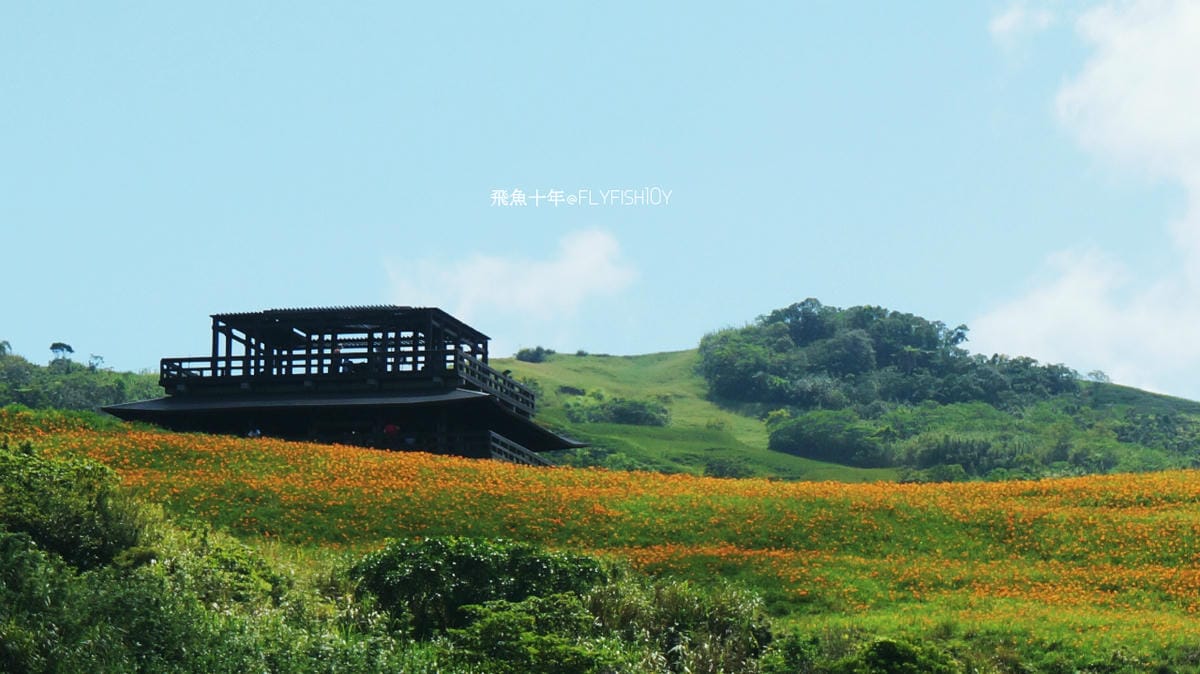 花蓮景點,金針花季,富里景點,玉里景點,花蓮金針花,花東縱谷景點,花東縱谷國家風景區,花東公路景點,台灣小瑞士,富里金針山,60石山,花蓮富里美食,花蓮富里景點,富里景點美食,富里花海景觀區,富里一日遊,六十石山,富里花海,富里金針花,富里交通,玉里金針花,赤柯山金針,玉里赤柯山,花蓮赤柯山,花蓮金針花季,赤柯山怎麼去,60石山怎麼去,六十石山怎麼去