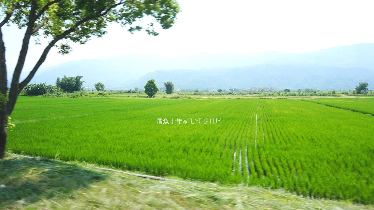 花蓮景點,花蓮玉里,花蓮金針山,花蓮金針花季(與一億朵金針花海相遇在花蓮赤科山‧六十石山),玉里景點,玉里金針花,玉里赤柯山,赤柯山,玉里推薦美食,玉里景點推薦,玉里金針石龜,赤柯山步道,赤柯山石龜,飛魚女孩,玉里金針花況回報,赤柯山六十石山比較,赤柯山六十石山ptt,赤柯山2024,赤柯山一日遊,赤柯山交通管制2024,赤柯山景點,赤柯山在哪裡,赤柯山住宿,赤柯山交通管制,赤科山即時影像,赤科山路況,赤科山2024