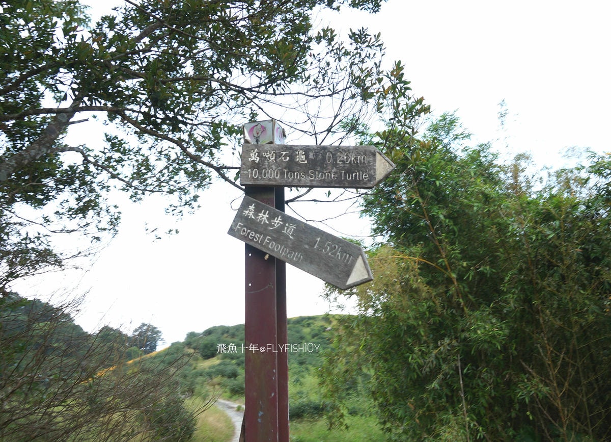 花蓮景點,花蓮玉里,花蓮金針山,花蓮金針花季(與一億朵金針花海相遇在花蓮赤科山‧六十石山),玉里景點,玉里金針花,玉里赤柯山,赤柯山,玉里推薦美食,玉里景點推薦,玉里金針石龜,赤柯山步道,赤柯山石龜,飛魚女孩,玉里金針花況回報,赤柯山六十石山比較,赤柯山六十石山ptt,赤柯山2024,赤柯山一日遊,赤柯山交通管制2024,赤柯山景點,赤柯山在哪裡,赤柯山住宿,赤柯山交通管制,赤科山即時影像,赤科山路況,赤科山2024