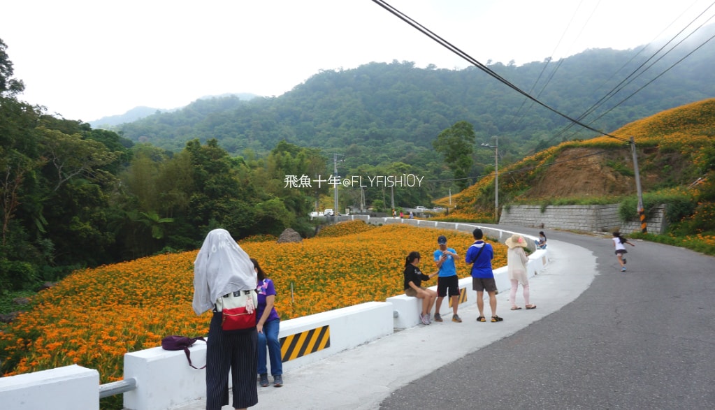花蓮景點,花蓮玉里,花蓮金針山,花蓮金針花季(與一億朵金針花海相遇在花蓮赤科山‧六十石山),玉里景點,玉里金針花,玉里赤柯山,赤柯山,玉里推薦美食,玉里景點推薦,玉里金針石龜,赤柯山步道,赤柯山石龜,飛魚女孩,玉里金針花況回報,赤柯山六十石山比較,赤柯山六十石山ptt,赤柯山2024,赤柯山一日遊,赤柯山交通管制2024,赤柯山景點,赤柯山在哪裡,赤柯山住宿,赤柯山交通管制,赤科山即時影像,赤科山路況,赤科山2024